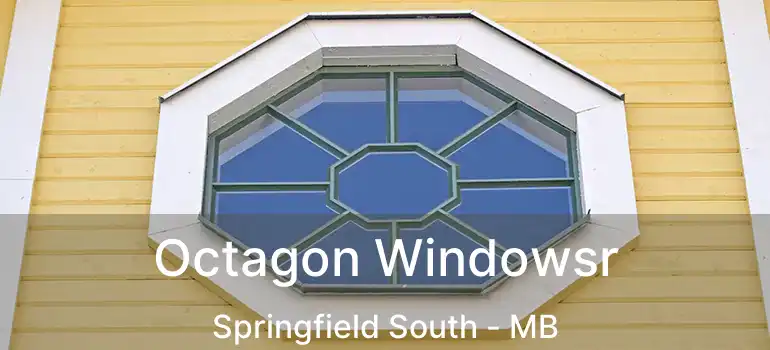  Octagon Windowsr Springfield South - MB