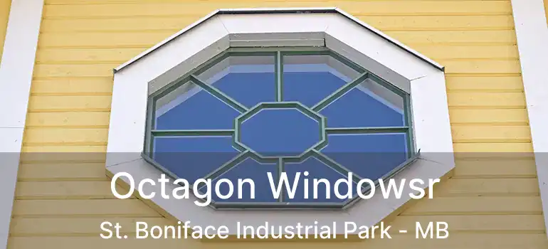  Octagon Windowsr St. Boniface Industrial Park - MB