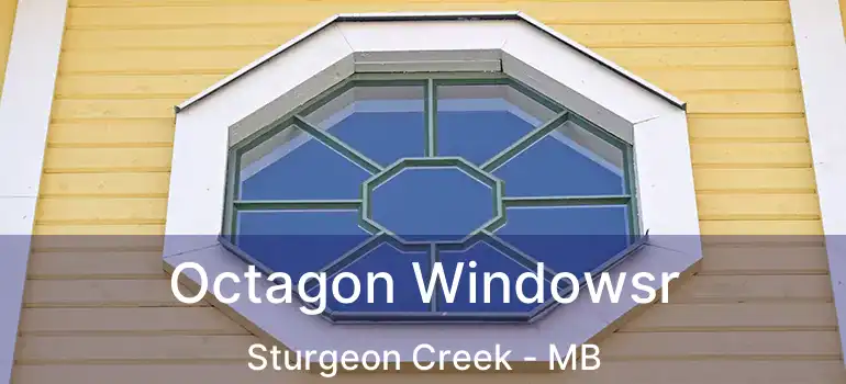  Octagon Windowsr Sturgeon Creek - MB