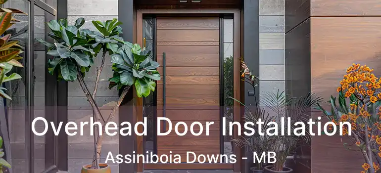  Overhead Door Installation Assiniboia Downs - MB