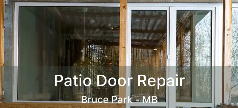  Patio Door Repair Bruce Park - MB