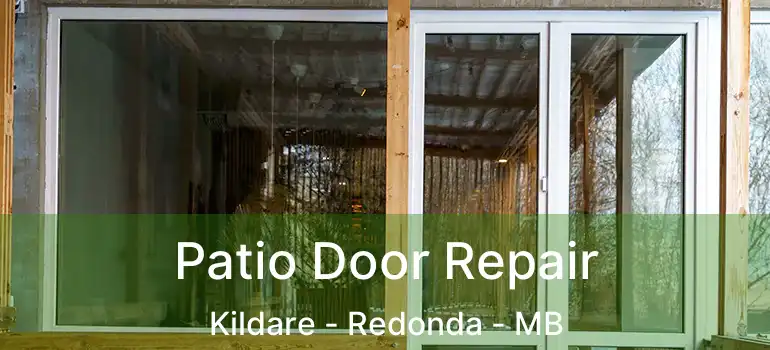  Patio Door Repair Kildare - Redonda - MB