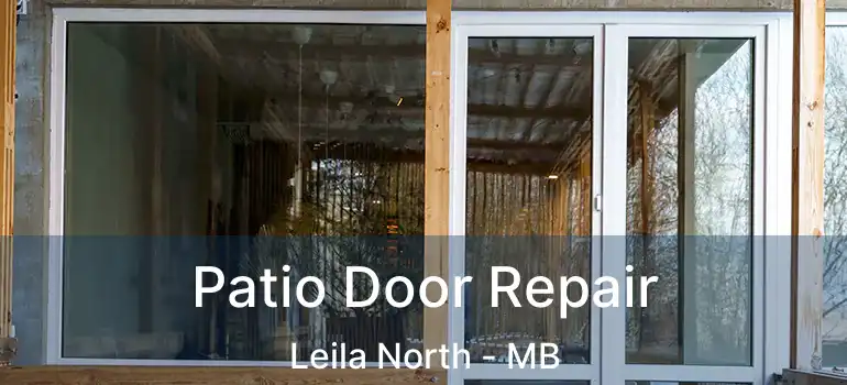  Patio Door Repair Leila North - MB
