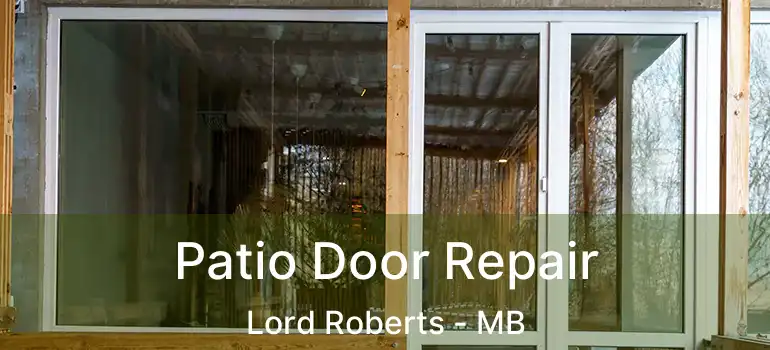  Patio Door Repair Lord Roberts - MB