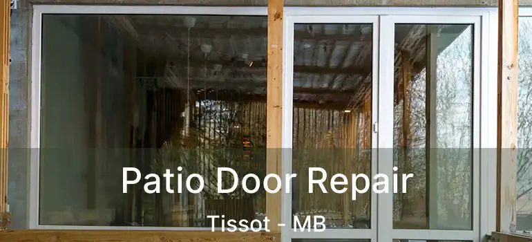  Patio Door Repair Tissot - MB