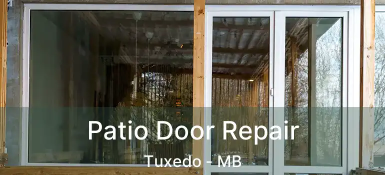  Patio Door Repair Tuxedo - MB