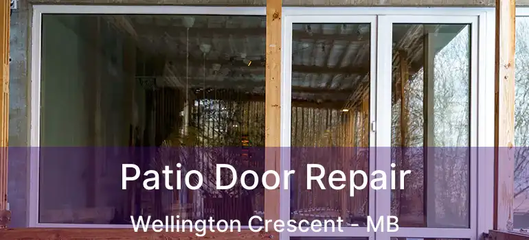  Patio Door Repair Wellington Crescent - MB