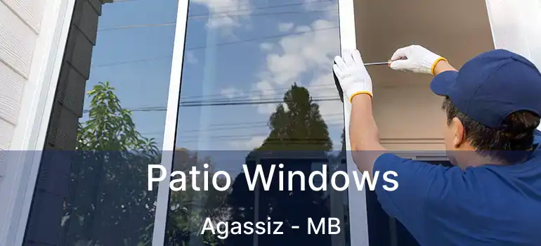  Patio Windows Agassiz - MB
