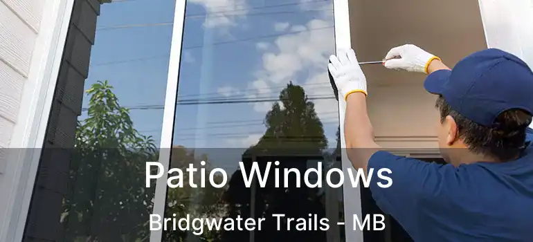  Patio Windows Bridgwater Trails - MB