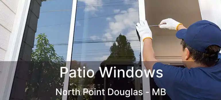  Patio Windows North Point Douglas - MB