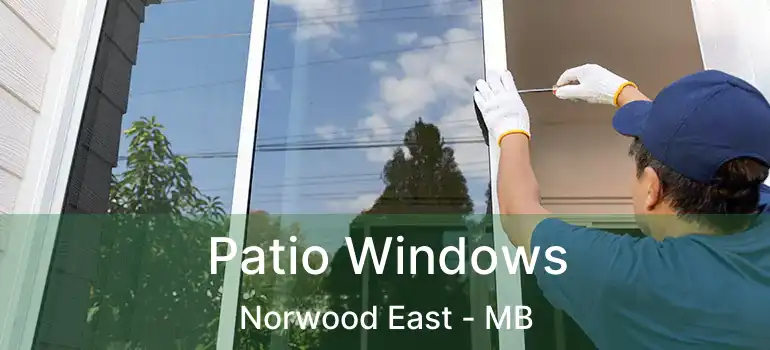  Patio Windows Norwood East - MB