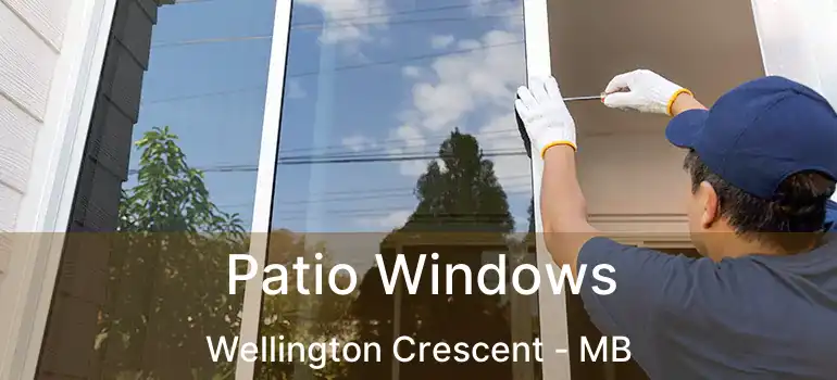  Patio Windows Wellington Crescent - MB