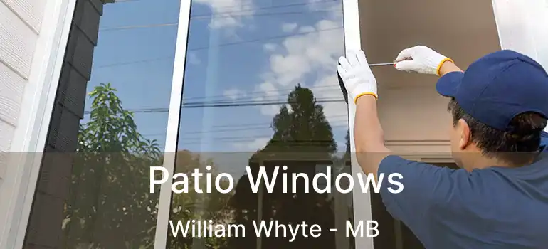  Patio Windows William Whyte - MB