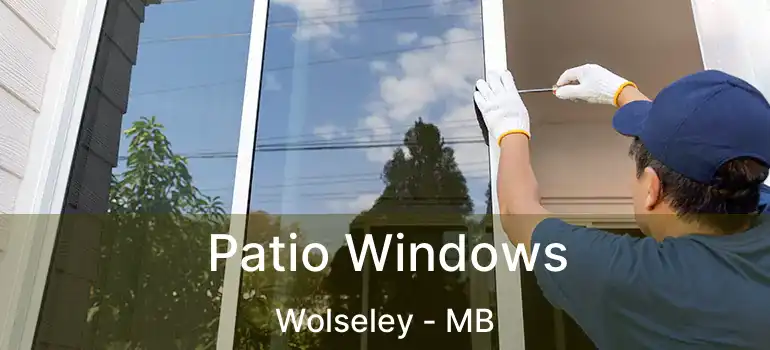 Patio Windows Wolseley - MB