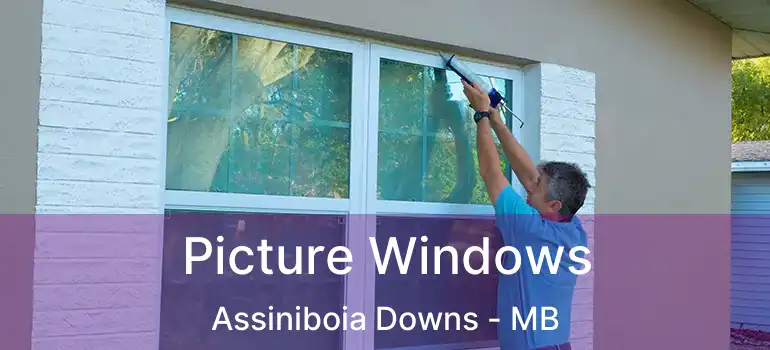  Picture Windows Assiniboia Downs - MB
