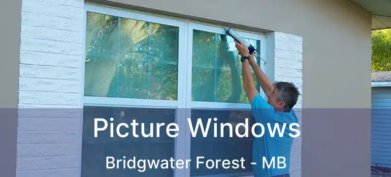  Picture Windows Bridgwater Forest - MB