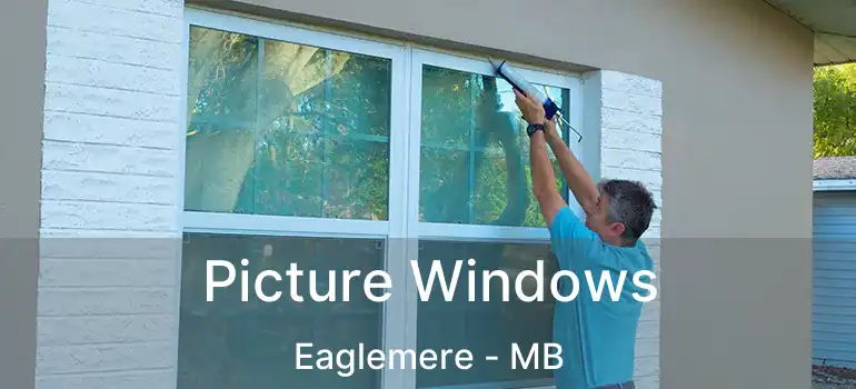  Picture Windows Eaglemere - MB