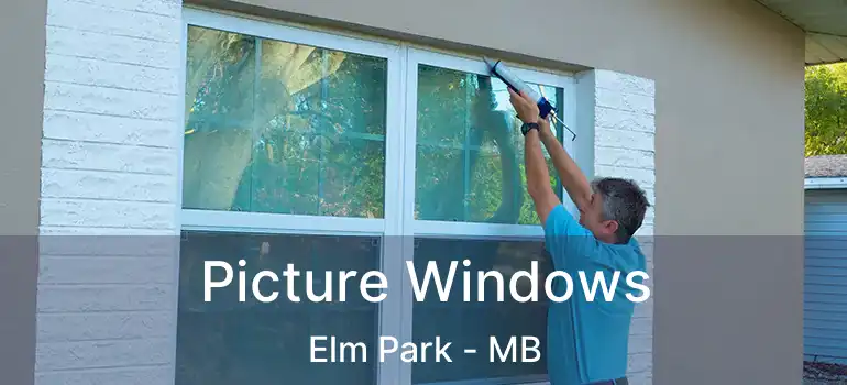  Picture Windows Elm Park - MB