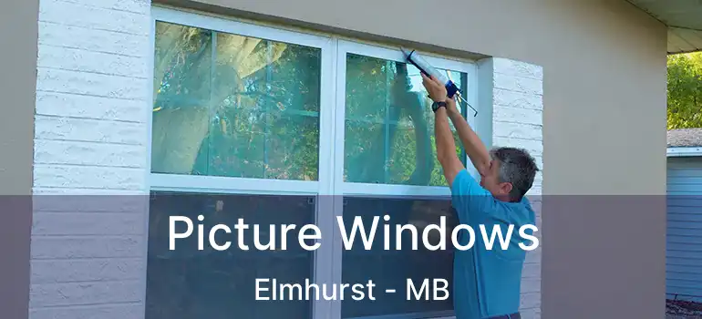 Picture Windows Elmhurst - MB