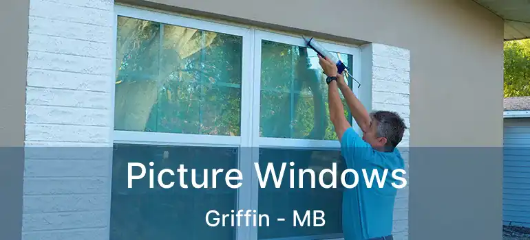  Picture Windows Griffin - MB