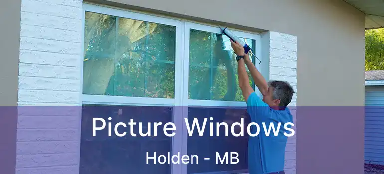  Picture Windows Holden - MB