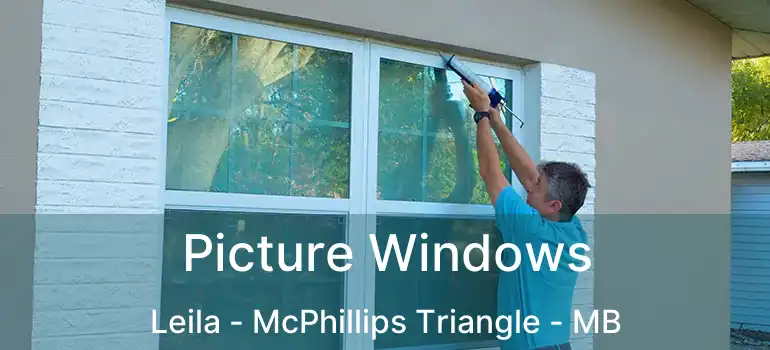  Picture Windows Leila - McPhillips Triangle - MB