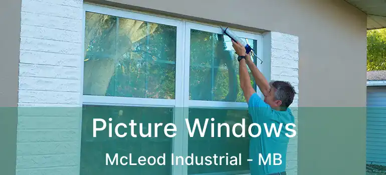  Picture Windows McLeod Industrial - MB
