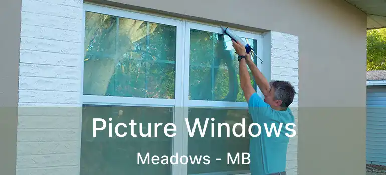  Picture Windows Meadows - MB