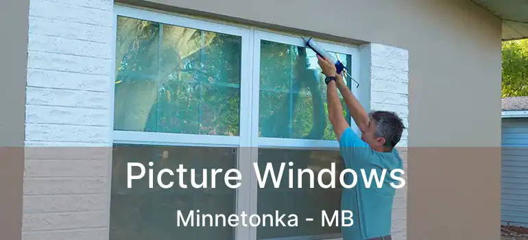  Picture Windows Minnetonka - MB