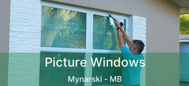  Picture Windows Mynarski - MB