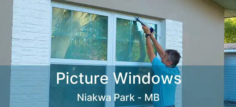  Picture Windows Niakwa Park - MB
