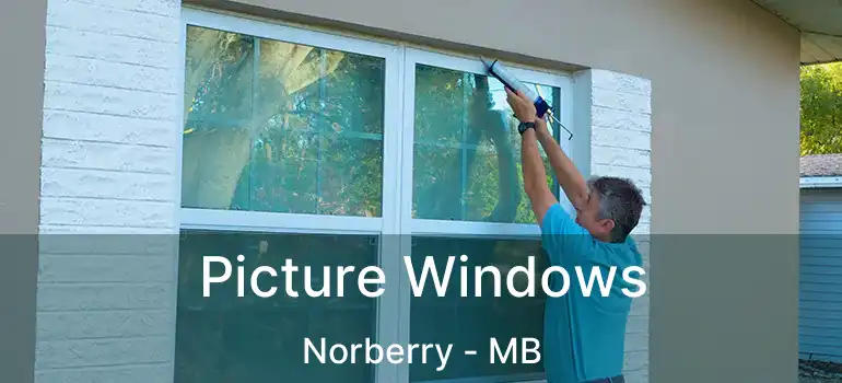  Picture Windows Norberry - MB