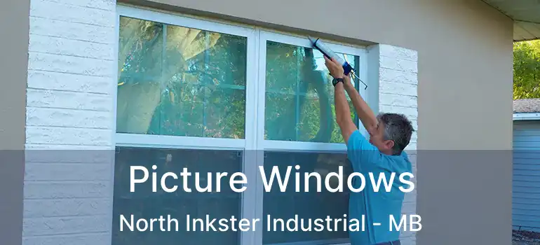  Picture Windows North Inkster Industrial - MB
