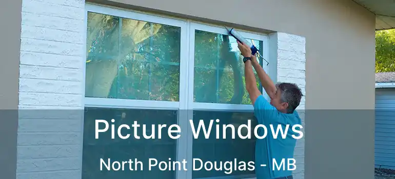  Picture Windows North Point Douglas - MB