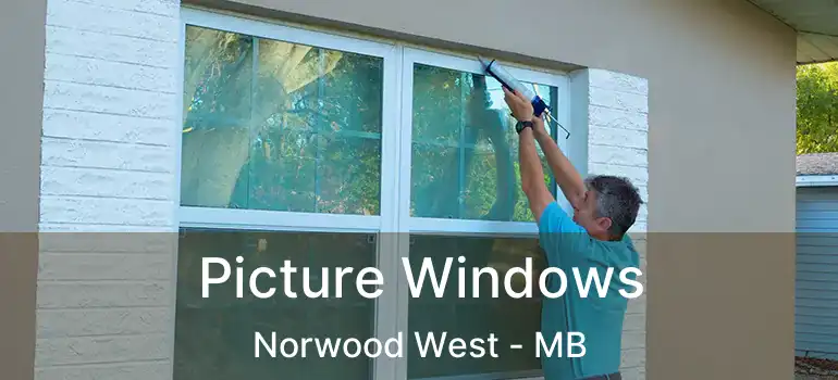  Picture Windows Norwood West - MB
