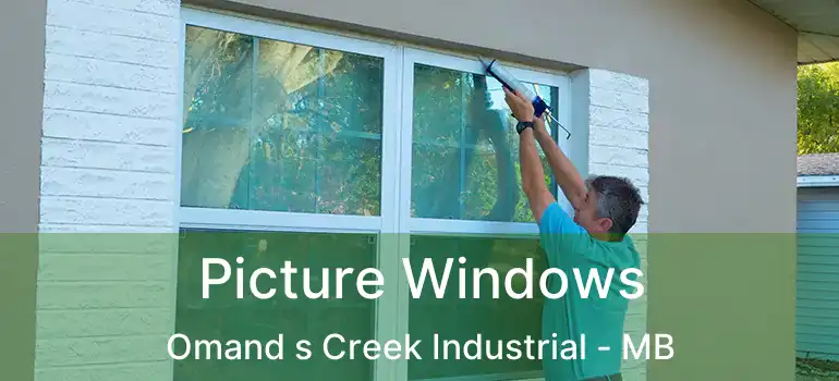  Picture Windows Omand s Creek Industrial - MB