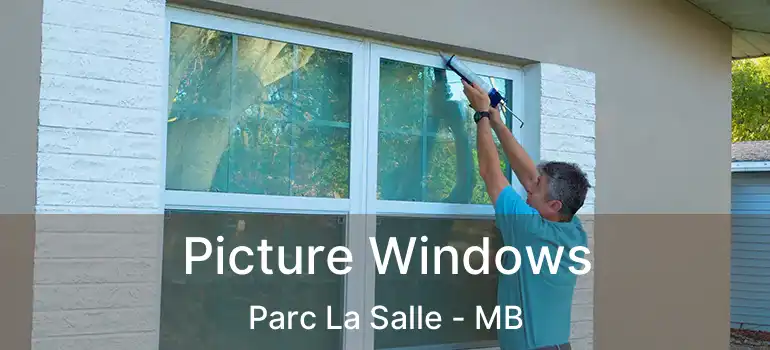  Picture Windows Parc La Salle - MB