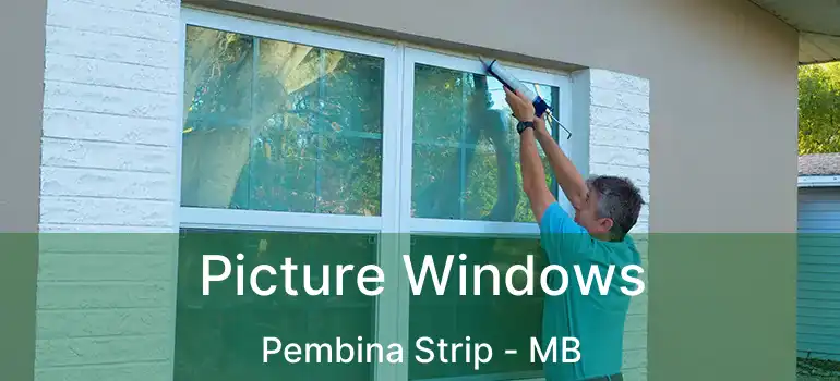  Picture Windows Pembina Strip - MB