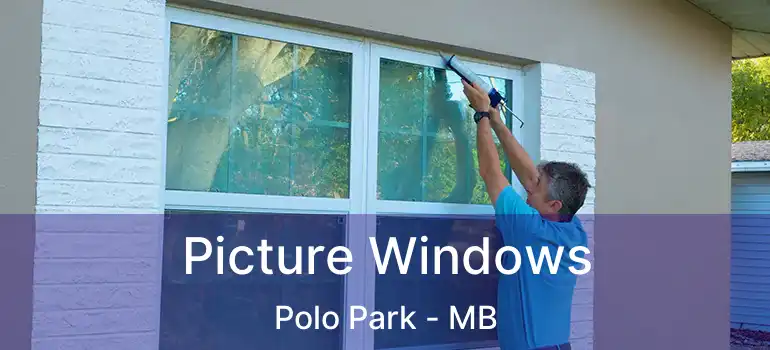  Picture Windows Polo Park - MB