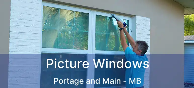  Picture Windows Portage and Main - MB