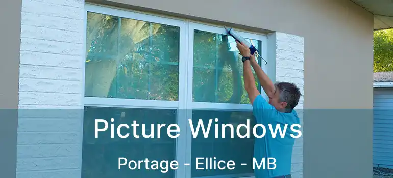  Picture Windows Portage - Ellice - MB