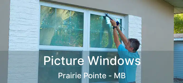  Picture Windows Prairie Pointe - MB