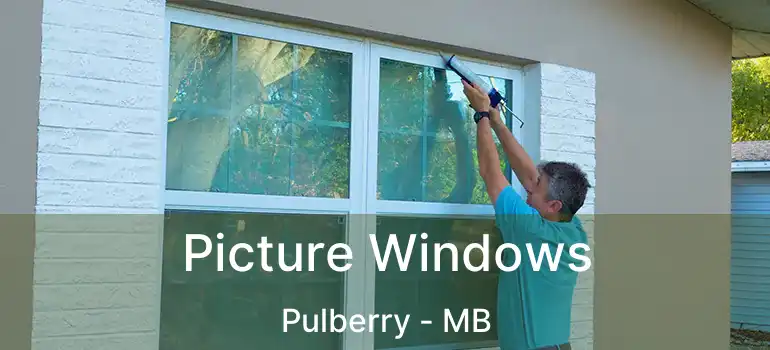  Picture Windows Pulberry - MB