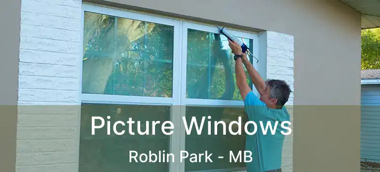  Picture Windows Roblin Park - MB