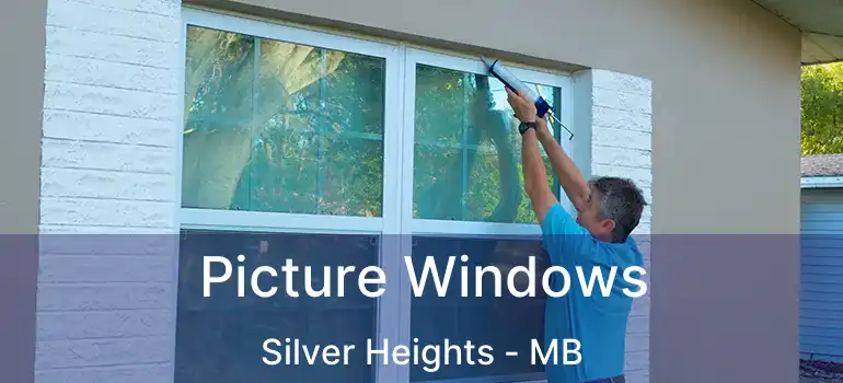  Picture Windows Silver Heights - MB