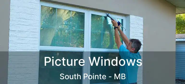  Picture Windows South Pointe - MB