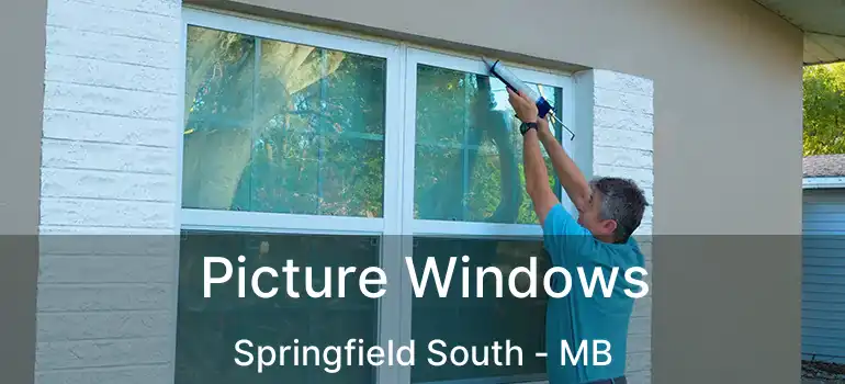  Picture Windows Springfield South - MB