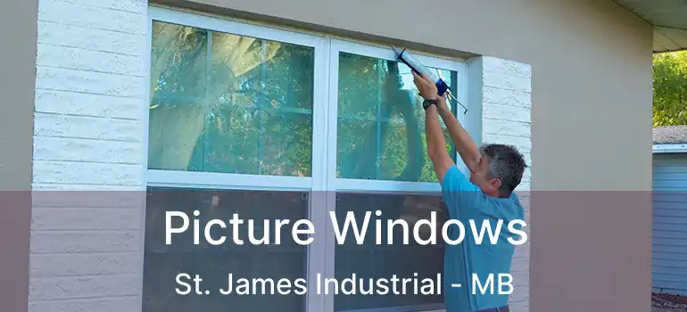  Picture Windows St. James Industrial - MB
