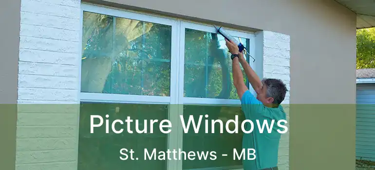  Picture Windows St. Matthews - MB