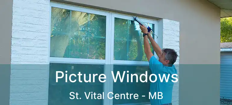  Picture Windows St. Vital Centre - MB